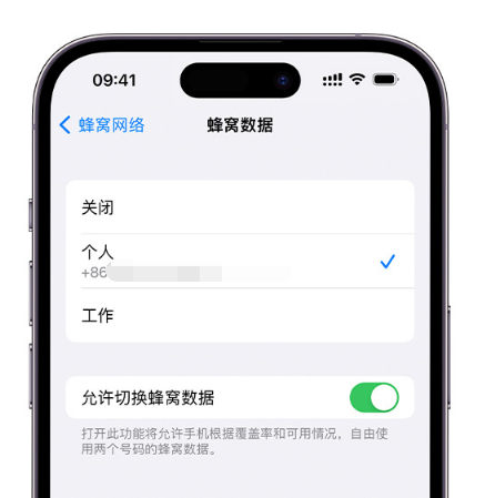 常德苹果维修服务分享如何在iPhone上使用双卡 